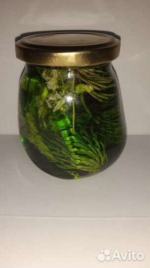 Варенье из Шишек, Елово-мятное из Роз