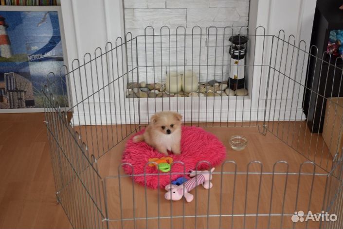 Вольер для собак