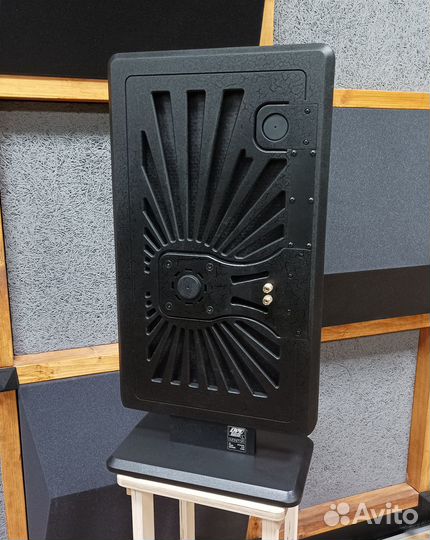 Плоские колонки - мониторы DPK TST