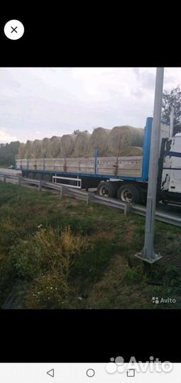 Сено Люцерна и луговое с доставкой по области