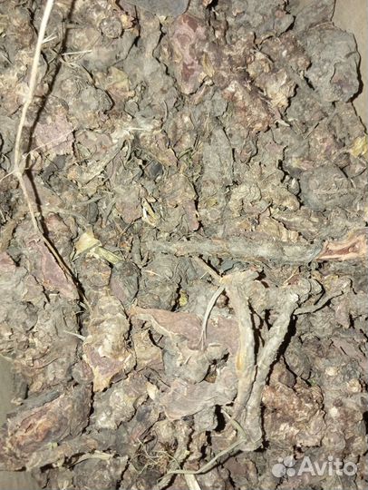 Золотой корень(Жень-Шень)