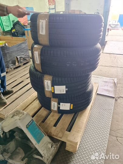Pirelli Scorpion 255/45 R19