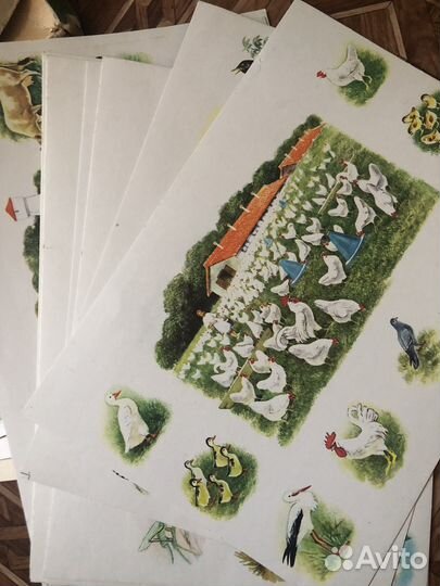 Зоологическое лото