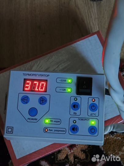 Инкубатор тгб пласт на 240 куриных яиц