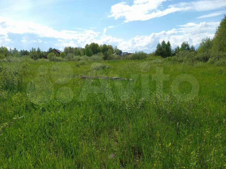 Участок 16 сот. (СНТ, ДНП)