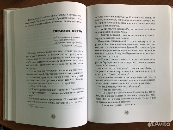 Василий Клёпов. Тайна золотой долины. 4 из России