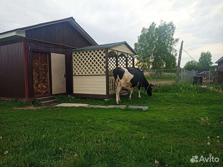 Работник, помощник на домашнюю ферму