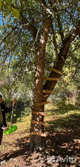 Качель-тарзанка