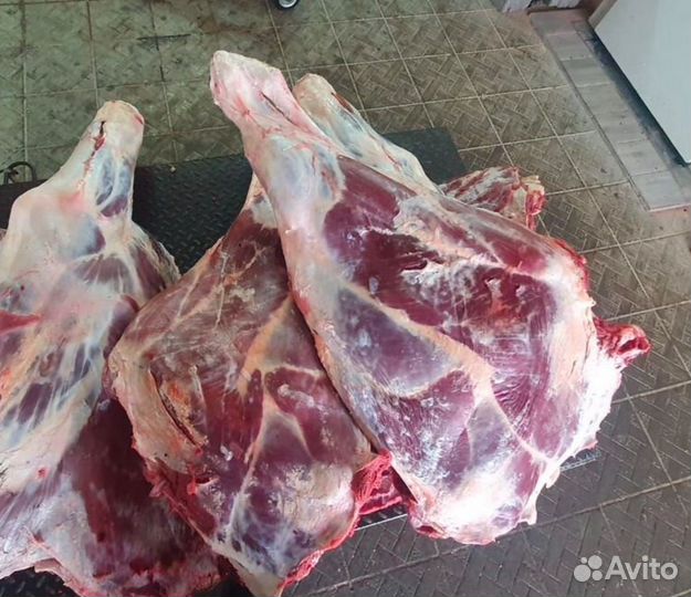 Телятина домашняя