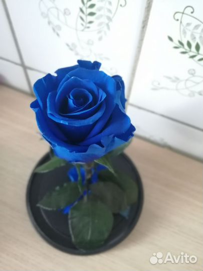 Вечная роза в колбе