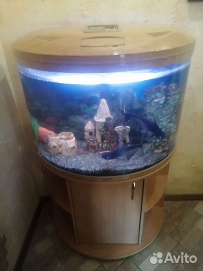 Аквариум с тумбой jebo