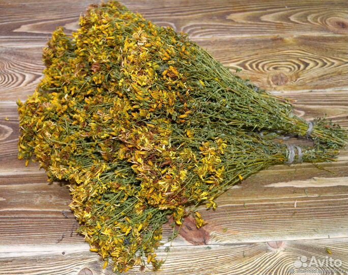 Лекарственные травы