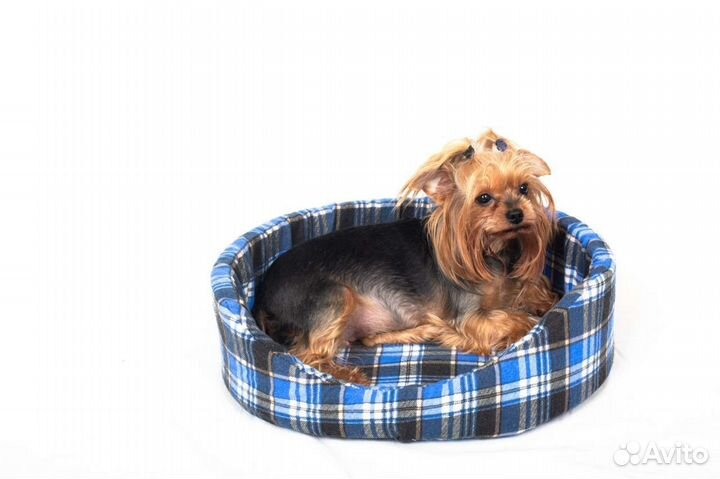 Лежанка для собак