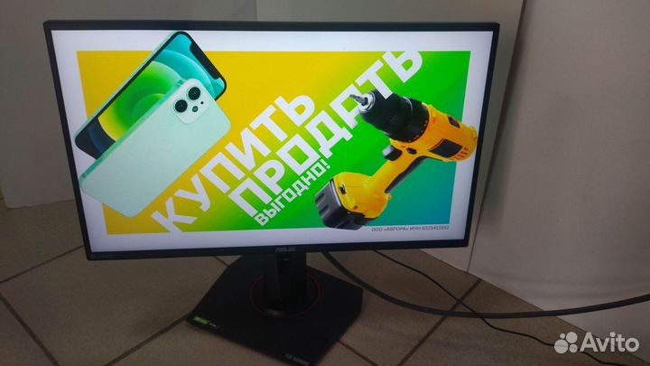 Мониторы asus VG259QM