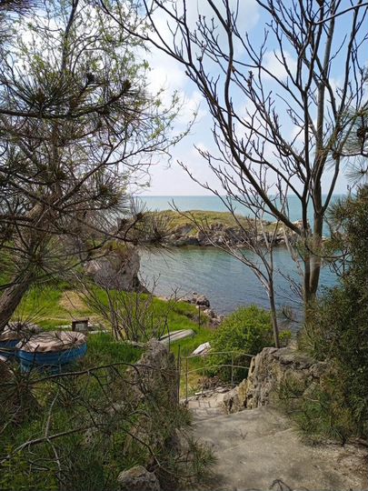 Участок 20 сот. (ИЖС)