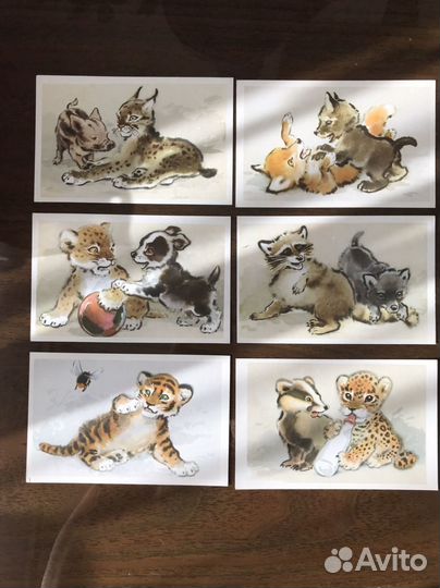 Лот книга ссср+Набор открыток 1971Молодняк в зооп