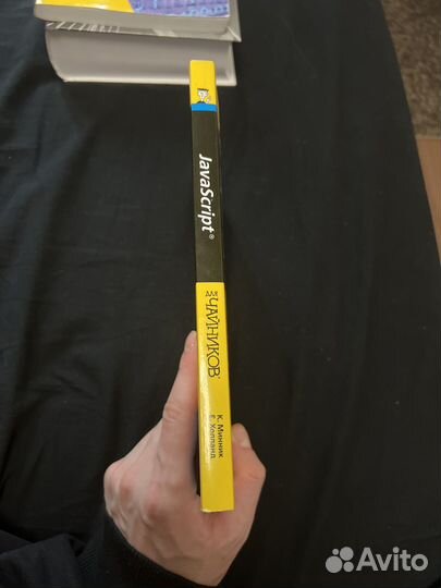 JavaScript для чайников