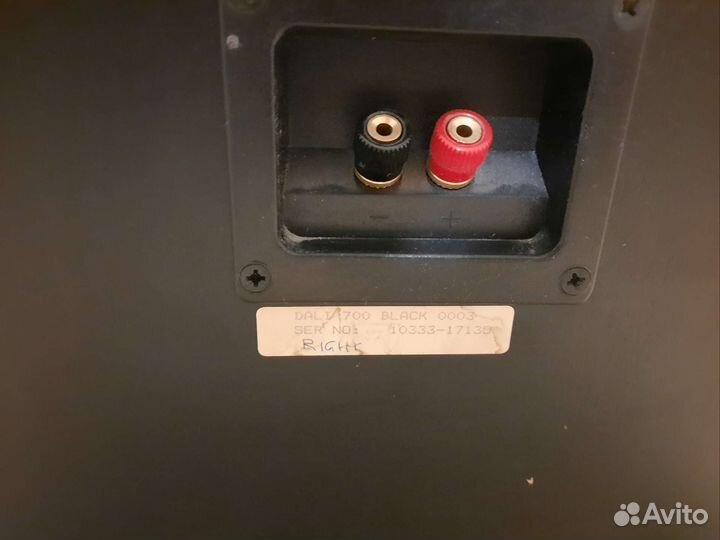 Колонки Dali 700