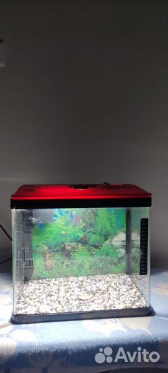 Аквариум