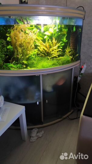 Аквариум Aquatlantis