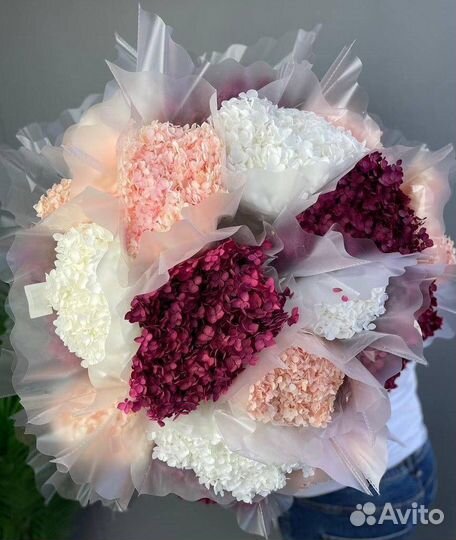 Гортензия стабилизированная