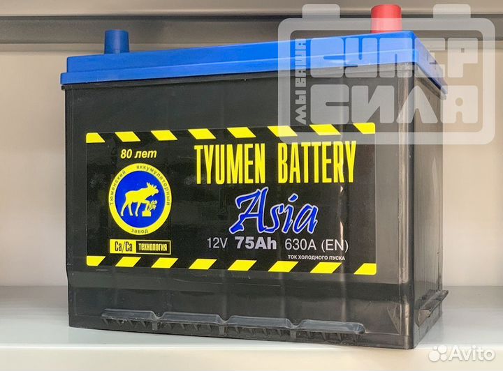 Аккумуляторы asia