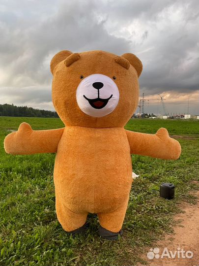 Ростовой костюм медведя теда