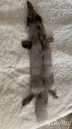 Шкурка животного