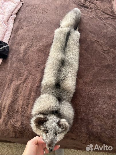 Меховой воротник песец