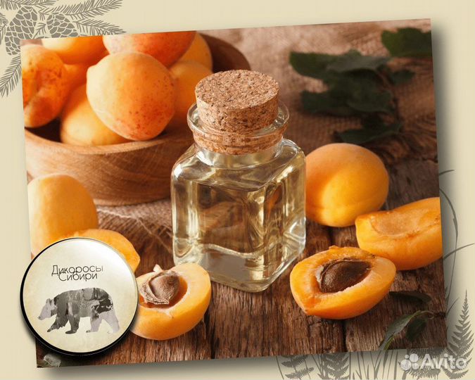 Абрикосовое масло