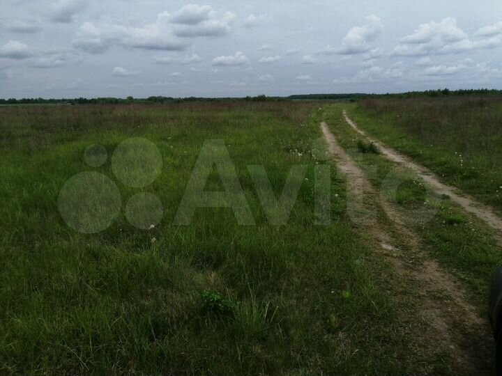 Участок 33 га (СНТ, ДНП)