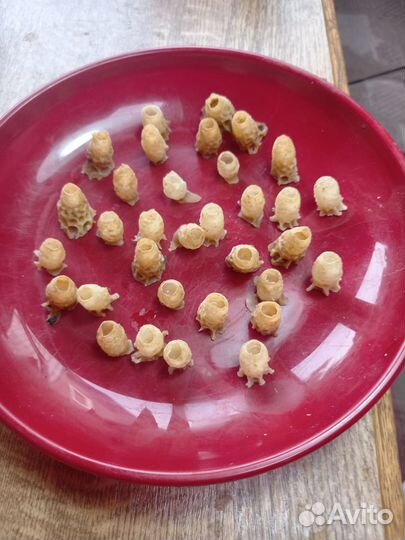 Маточное молочко в маточниках