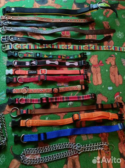 Аксессуары для крупных собак