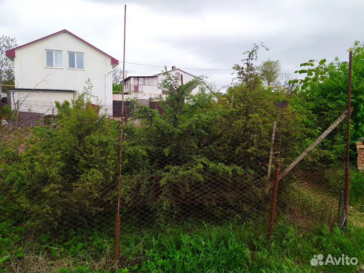 Можевельник обыкновенный (Juniperus communis)