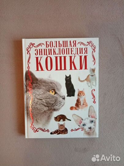 Книга Большая энциклопедия кошек Смирнов Д. С