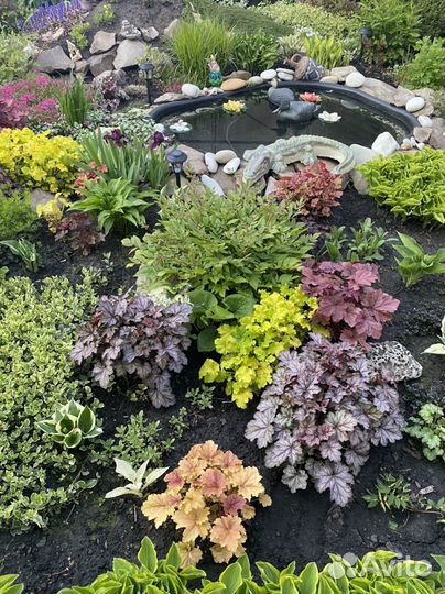 Цветы для Вашего сада и дачи