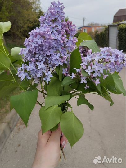 Няня для ребёнка