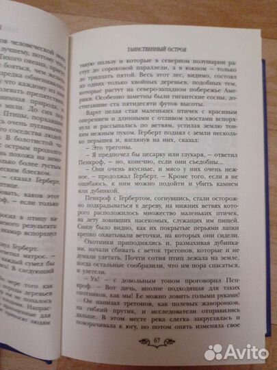 Таинственный остров. Жаль Верн