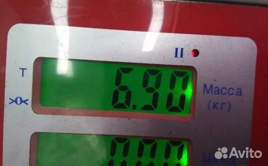 Шкив коленвала демпферный дизельный BMW X5 E53 (PE