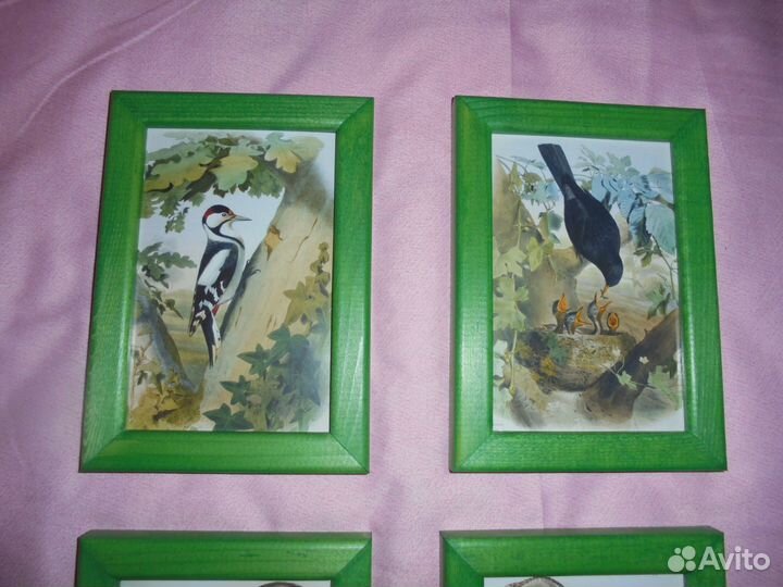 4 панно Птицы леса зелён дерев рамка 13 х 17,5 см