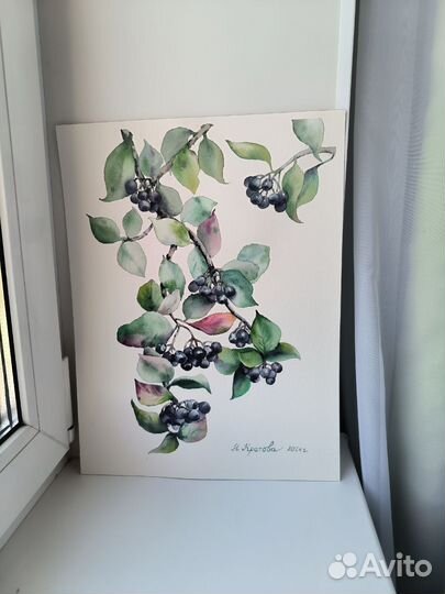 Картина акварелью рябина