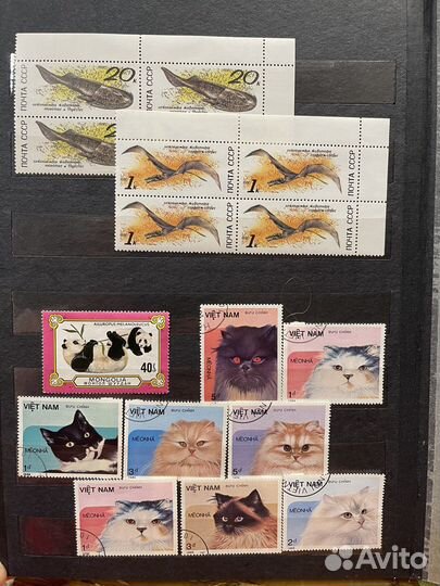 Флора и фауна. Альбом 3 лот 1