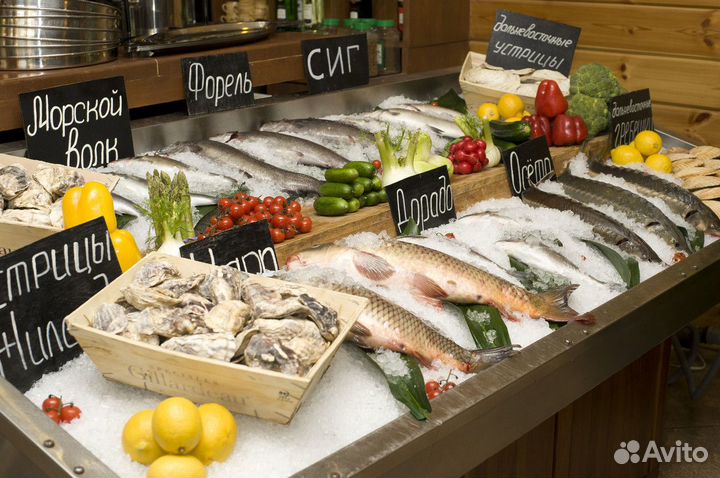 Продам прибыльный рыбный магазин – готовый бизнес с потенциалом роста