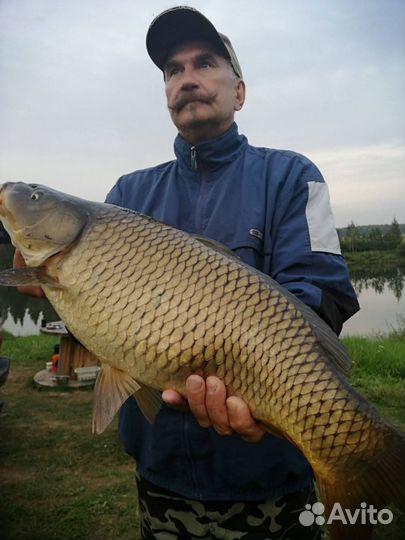 Рыбалка семейный отдых