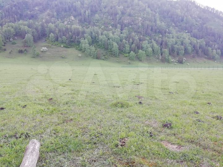 Участок 1,2 га (СНТ, ДНП)