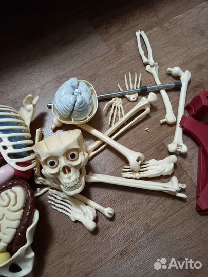 Скелет макет Артем