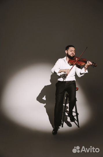 Скрипка на праздник