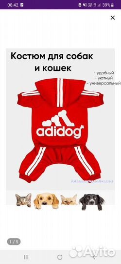 Костюм для собаки или кошки