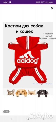 Костюм для собаки или кошки