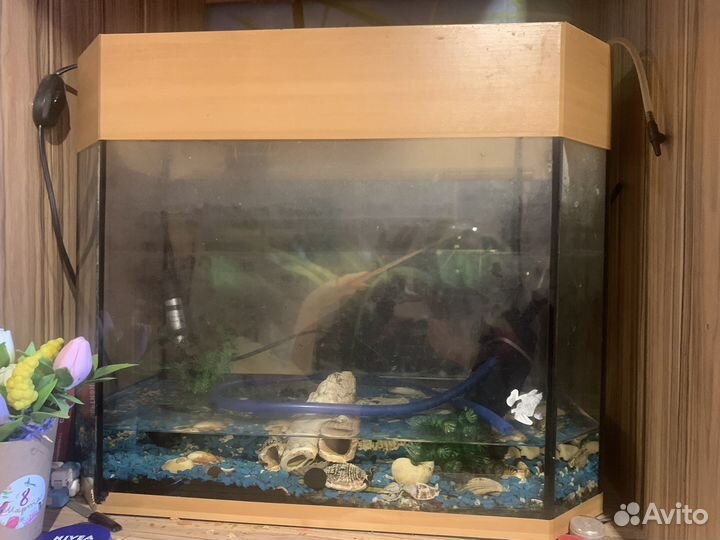 Аквариум для рыбок